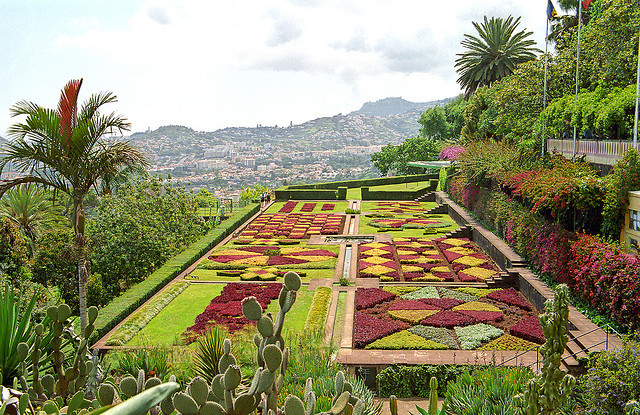 Funchal Botanic Garden - Madeira, Portugal.