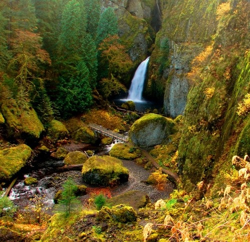 Wahclella Falls, Columbia Gorge, Oregon
