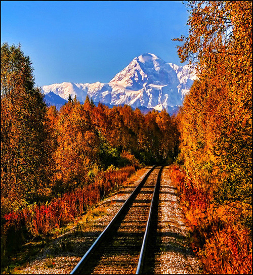 Wilderness Railroad, Mt. McKinley, Alaska