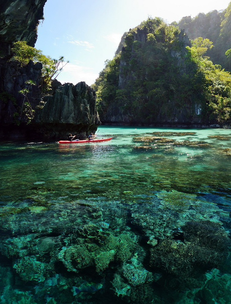 Coral reefs in the beautiful Palawan Islands, Philippines