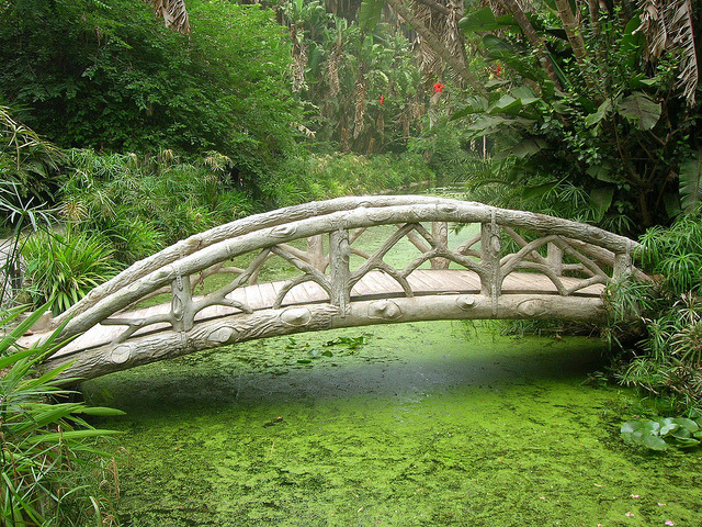 Bridge in the midlle of Jardin d'Essai in Algiers, Algeria