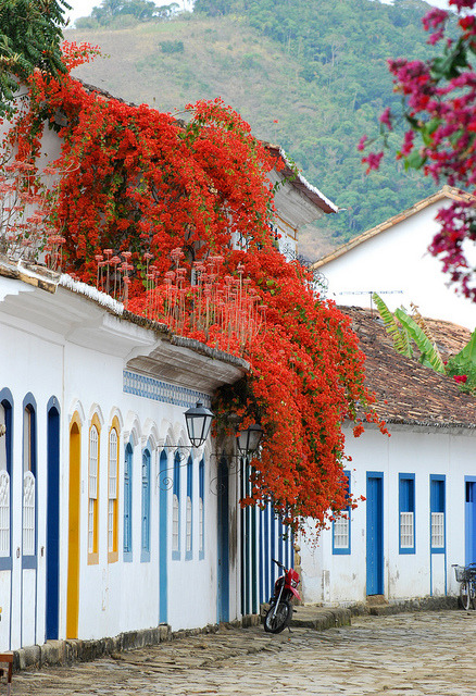 Flowers on the streets of Paraty, Costa Verde, Brazil