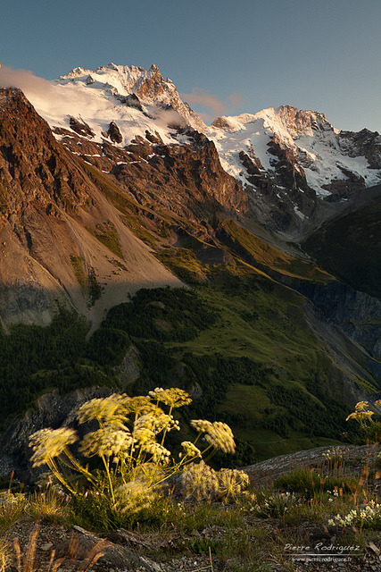 Petite brise du soir en Hautes Alpes, France