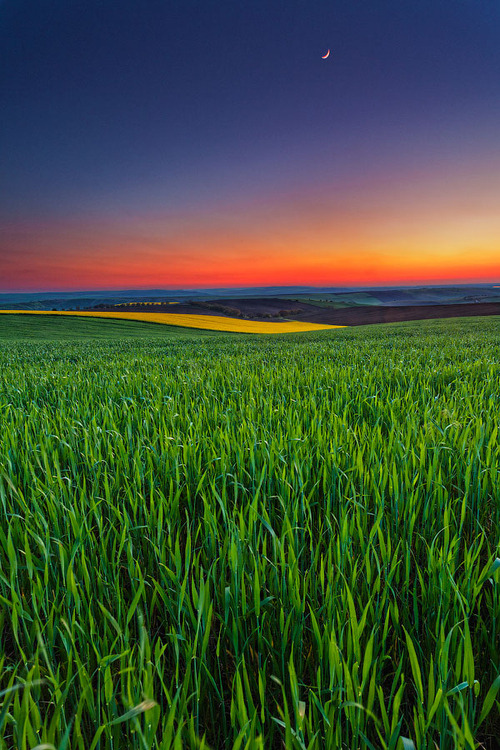 Sunset Field, Bulgaria