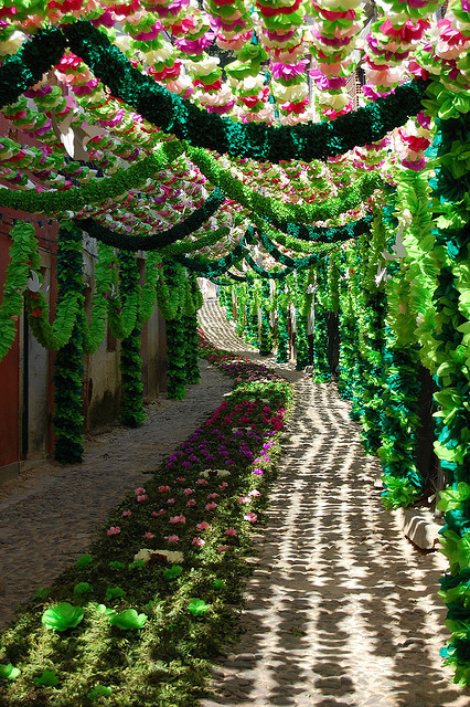 Beautiful decorated streets during Festival of the Tabuleiros in Tomar, Portugal