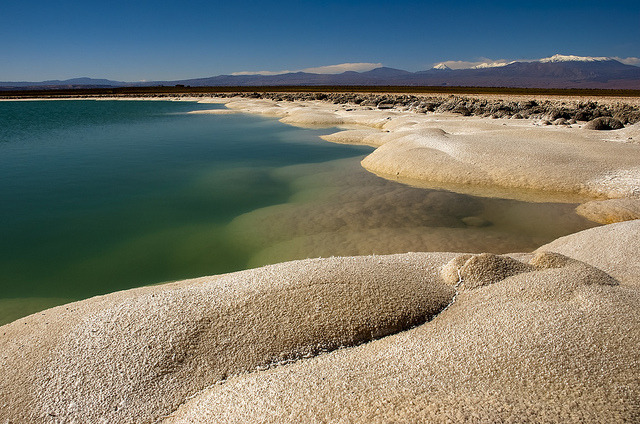 Salty shores of Laguna Cejar, Salar de Atacama, Chile