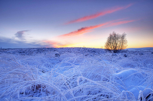 Blue Frost, West Yorkshire, England