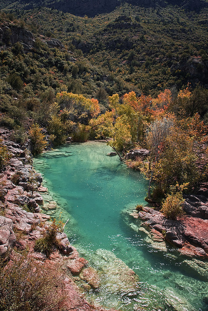 Fall colors at Fossil Creek, central Arizona, USA