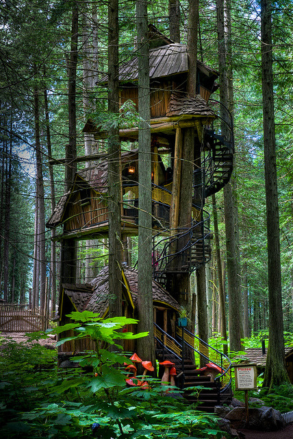 The tallest tree house in British Columbia near Revelstoke,Canada