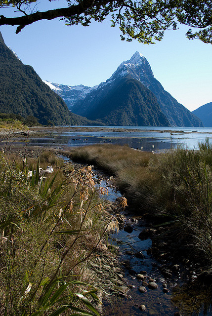 Summer day in Milford Sound, New Zealand