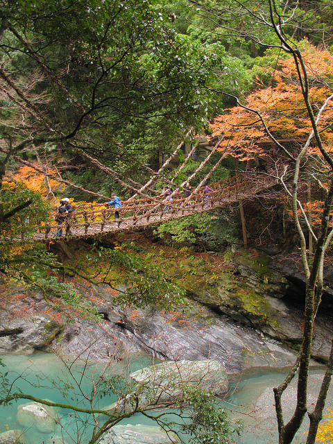 Vine bridge in Iya Valley, Shikoku, Japan
